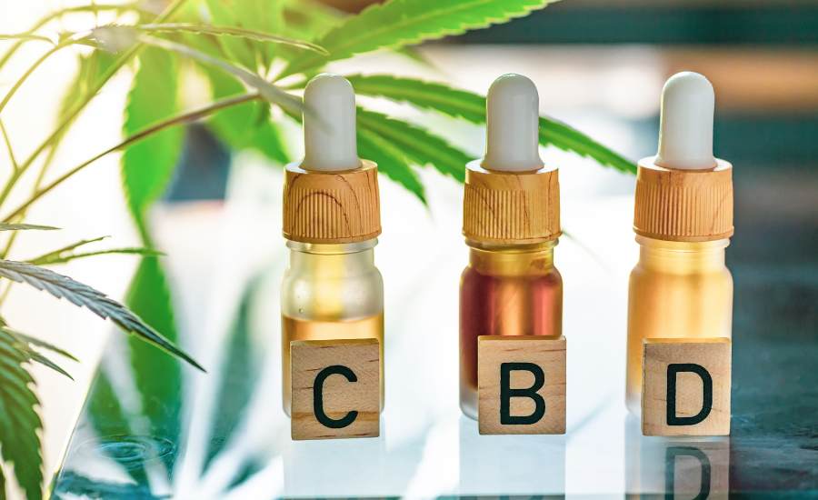 Gamme de flacons d’huile de CBD sur fond végétal, évoquant les différentes concentrations disponibles pour accompagner la gestion du stress et de la fatigue liés au burn-out.